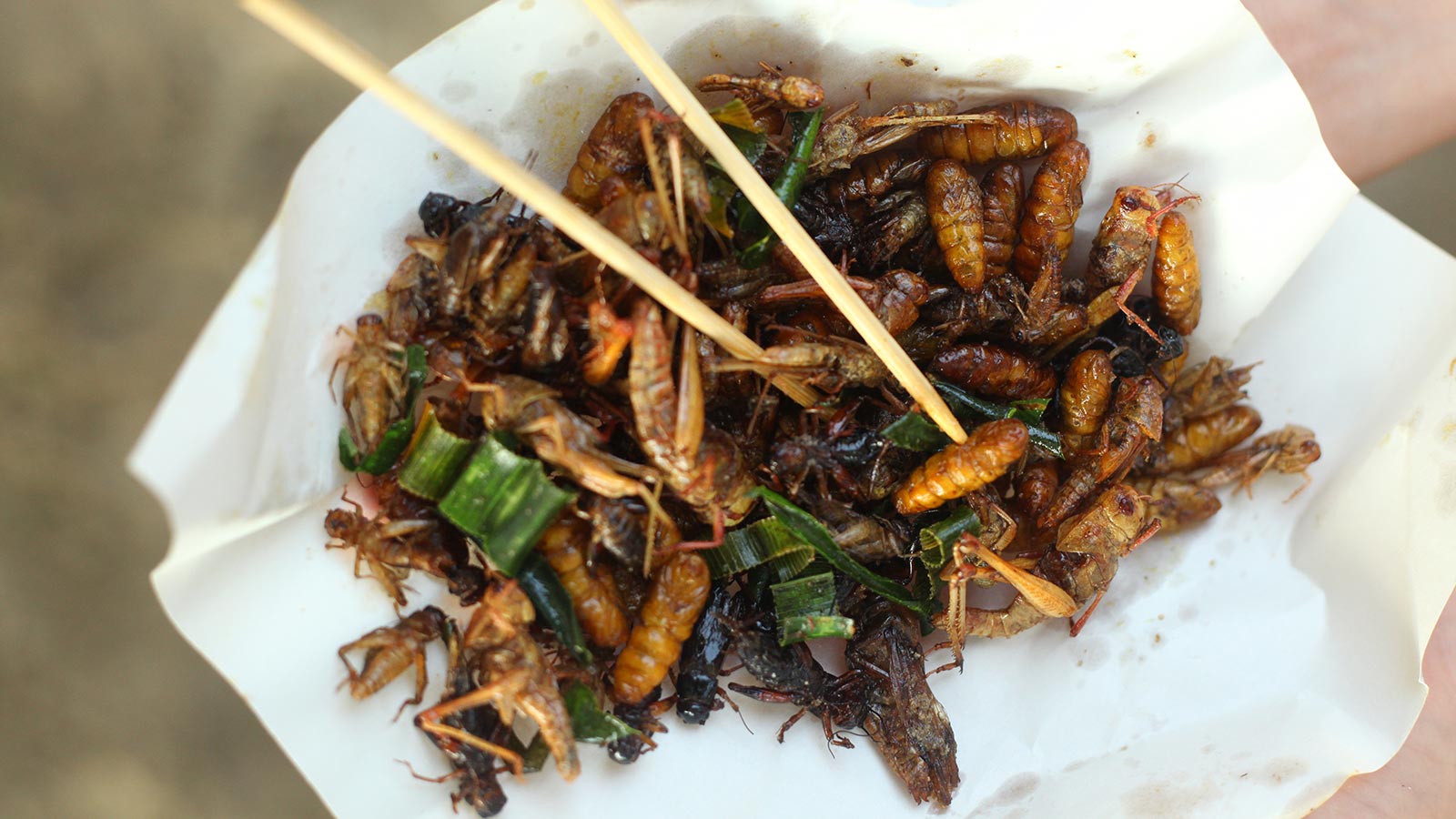 La alternativa nutritiva y sostenible